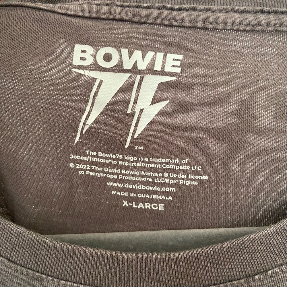 David Bowie Pharaoh Graphic T-Shirt Size XL Band Music Gray Faded Retro Rock - Picture 7 of 8